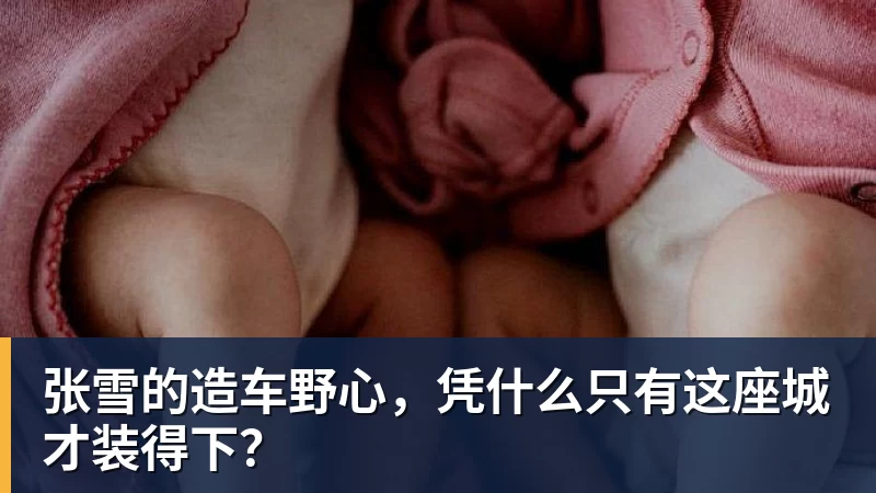 华体会体育张雪的造车野心,凭什么只有这座城才装得下?