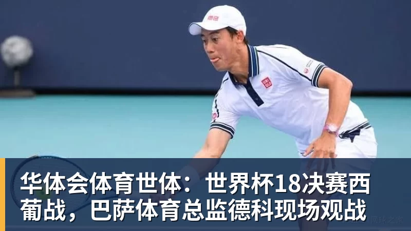 华体会体育世体:世界杯18决赛西葡战,巴萨体育总监德科现场观战